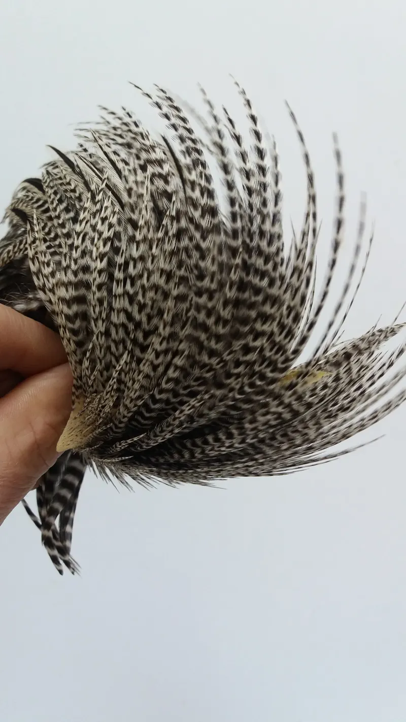 Whiting Hebert Miner Hen Cape in Grizzly Variant-1